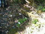 granges_03
