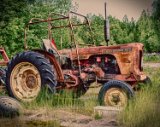 forsbo_03